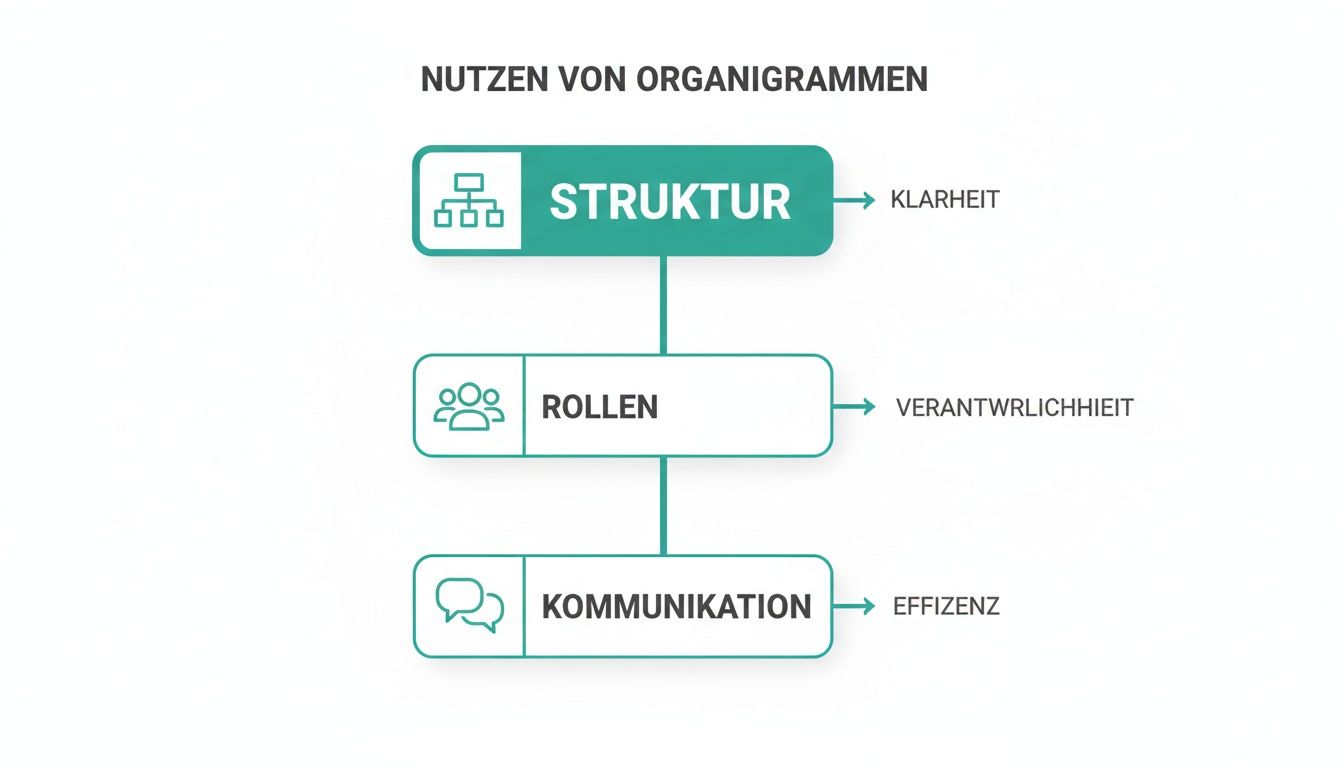 Infografik zeigt die Vorteile von Organigrammen: Struktur führt zu Klarheit, Rollen zu Verantwortlichkeit, Kommunikation zu Effizienz.